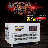 高原用12KW汽油發(fā)電機(jī)