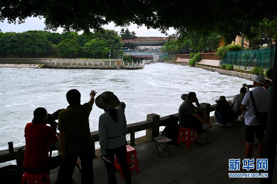 （特區(qū)40年·圖文互動(dòng)）（2）高顏值的生態(tài)花園之城——廈門(mén)生態(tài)建設(shè)觀(guān)察